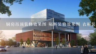 厨房吊顶装修效果图 隔断装修效果图 衣柜装修效果图