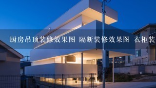 厨房吊顶装修效果图 隔断装修效果图 衣柜装修效果图