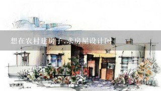 想在农村建房子,求房屋设计图