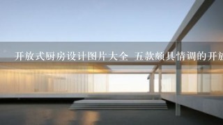 开放式厨房设计图片大全 五款颇具情调的开放式厨房