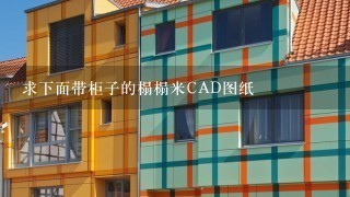 求下面带柜子的榻榻米CAD图纸