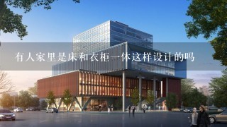 有人家里是床和衣柜1体这样设计的吗