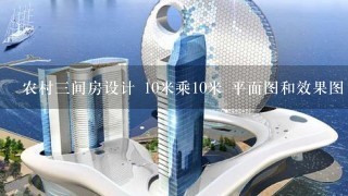 农村3间房设计 10米乘10米 平面图和效果图 麻烦各位高手