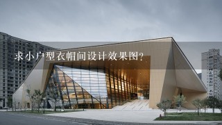 求小户型衣帽间设计效果图？