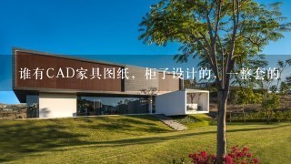 谁有CAD家具图纸，柜子设计的，1整套的