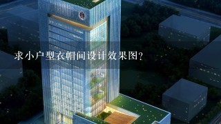 求小户型衣帽间设计效果图？