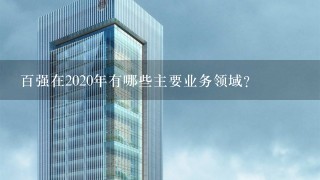 百强在2020年有哪些主要业务领域?